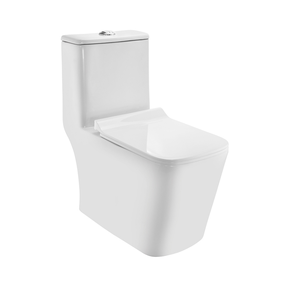 Picture of रिमलेस सिंगल पीस WC
